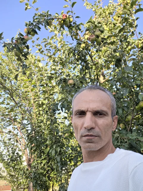 Galip Arduç, meyvelerle dolu elma ağaçlarının önünde beyaz tişörtle kameraya bakıyor.